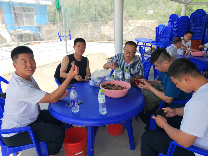 公司旅游